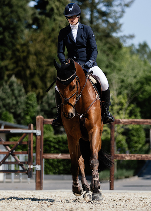 Equestrian Sport
