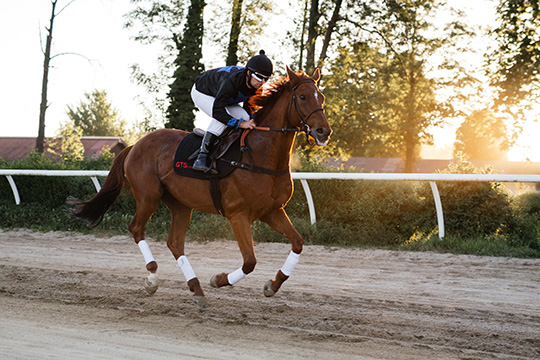 Galopp-Rennreiten