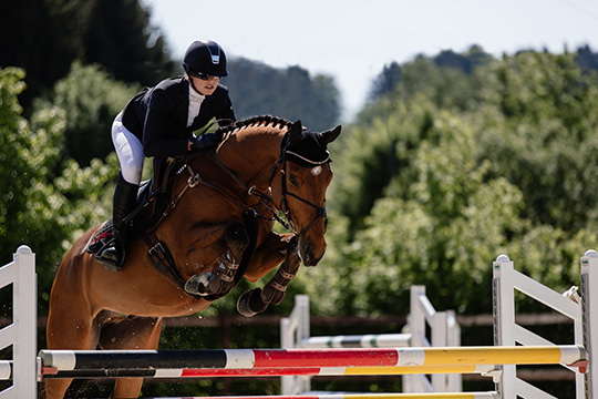 Springreiten